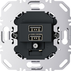 USB-розетка подвійна, 230В, антрацит Berker 260205