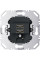 USB-розетка подвійна, 230В, антрацит Berker 260205