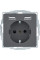 Розетка з з/к 16А/250В + 2хUSB/2.4A, А-А, колір антрацит, бархатний лак, Q.х Berker 48036086