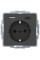 Розетка з з/к 16А/250В + 2хUSB/3A, А-С, колір антрацит, бархатний лак, Q.х Berker 48046086