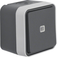 Переключатель с подсветкой IP55, серый, 10АX/250В W.1 Berker WNC002