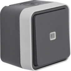Перемикач з підсвічуванням IP55, сірий, 10АX/250В W.1 Berker WNC002