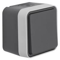 Перемикач IP55, сірий, 10АX/250В W.1 Berker WNC011