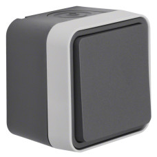 Перемикач IP55, сірий, 10АX/250В W.1 Berker WNC011