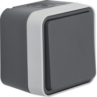 Выключатель кнопочный 1-клавишный IP55, серый, 10АX/250В W.1 Berker WNC020