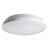 Светильник припотолочный DABA PRO, 25W, 4000K, IP66, белый, Kanlux 19064