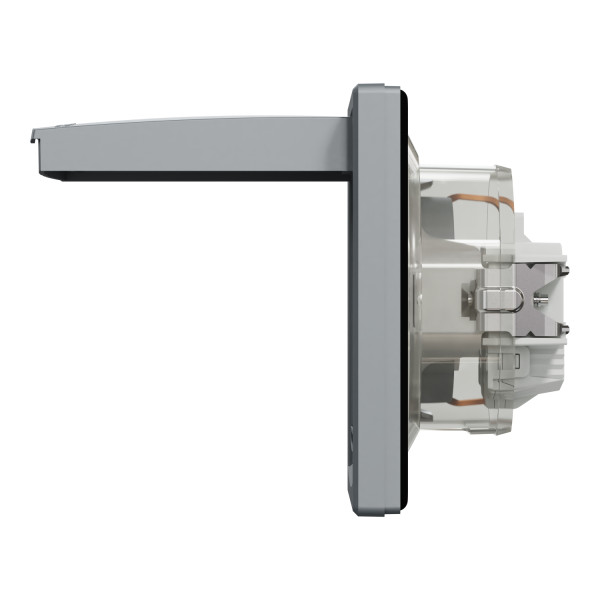 Розетка з заземленням, з кришкою та шторками, IP44, Сталь, Asfora, EPH3100362