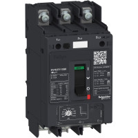 ВИМ TESYS GV4P МАГН.РОЗЧ 50А 50КА ШИН, Schneider Electric GV4LE50N6