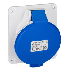 Розетка панельна кутова, гвинтова, 32А, 2P+E, IP44, 200-250В, Schneider Electric PKF32F423