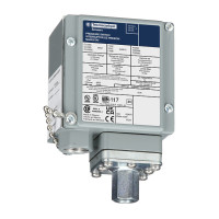 РЕЛЕ ДАВЛЕНИЯ 480VAC 10AMP G +ОПЦИИ, Telemecanique 9012GAW25S215