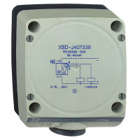 Індуктивний датчик XSD 80x80x40, пластик, Sn60мм, 12...48 В постійного струму, клеми, Telemecanique XSDH607339